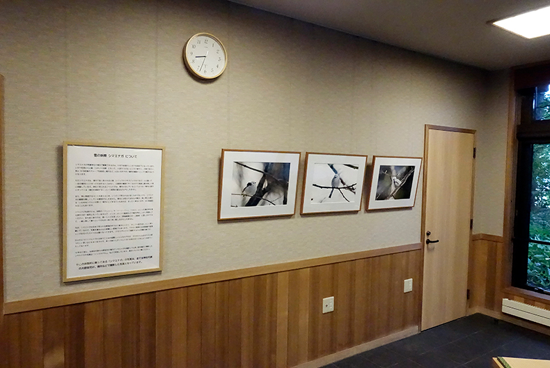 どさんこ流シマエナガの写真作品鏑馬