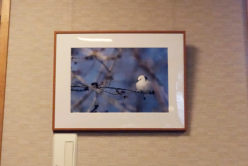 シマエナガの写真作品