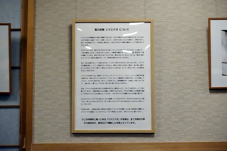 シマエナガの写真作品